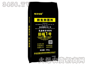 �︣1̖(h��o)΢�������-¡ʥ�؈A-�︣����