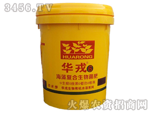 ����ͺ��������-�A��6̖-�����A��