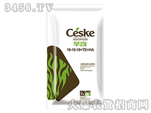 ����Ԫ��ˮ�ܷ���19-19-19+TE+HA-���S��