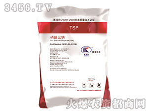 ��������cTSP��������