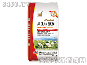 �����΢�������-����