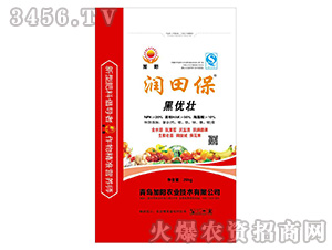 �ڃ�(y��u)��-���ﱣ-���