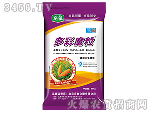 ���������͏�(f��)�Ϸ���28-6-6-���ħ��-����