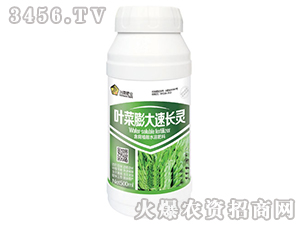 �~��������L�`��500ml��-�S�A�ʘI(y��)