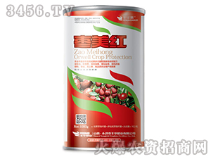 �����t��1000g��-�S�A�ʘI(y��)