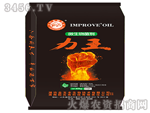 ΢�������-����-�Ɲ�