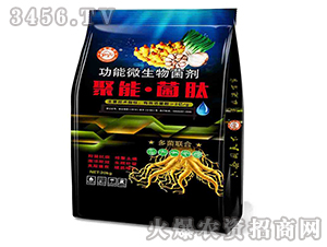 ���ܡ�����-�Ɲ�