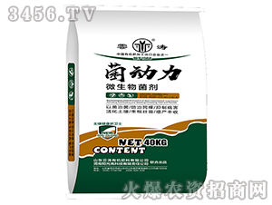 ΢�������-����(d��ng)��-�Ɲ�