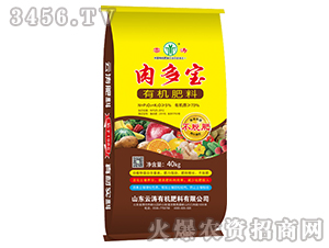 �ЙC����-�����-�Ɲ�