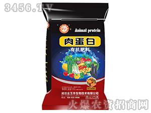 �⵰���ЙC��-�Ɲ�