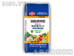 ������⛷�22-8-10-�м�����