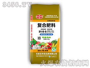 ��(f��)�Ϸ�31-0-5-�м�����