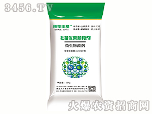 ���烞(y��u)���w����-�����S��-������