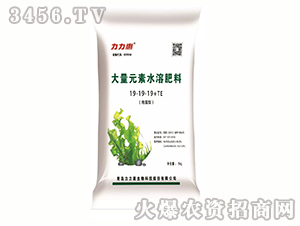 ����Ԫ��ˮ�ܷ�19-19-19+TE-������-������