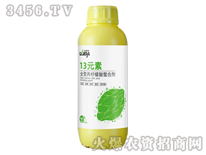 13Ԫ��-������