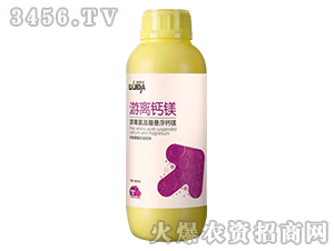 1L���x�}�V-������