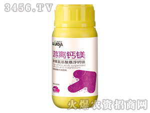 250ml���x�}�V-������---����