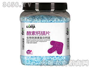 �����}�VƬ-������