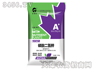 �߼���������-����̩