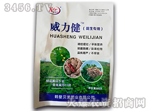 ���������~���-������-ؐ���ʘI(y��)