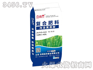 ��(f��)�Ϸ���16-16-8-������-�|�����A