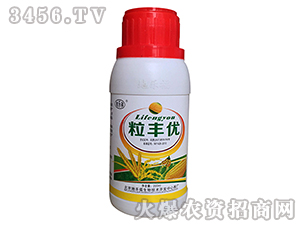 ֲ���{��(ji��)��-���S��(y��u)-�ؘ���