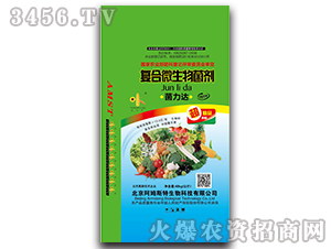 ��(f��)��΢�������-�����_(d��)-��ķ˹��