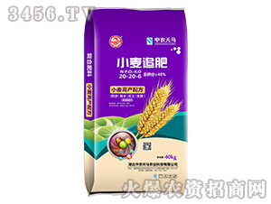 С��׷��20-20-6-���r(n��ng)���R