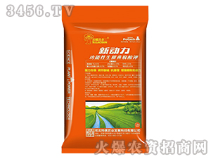 �����������S�����-��(d��ng)��-�|��