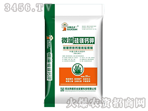 ΢����V�}�-�����K����-�|��