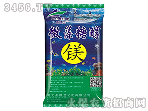 ΢���Ǵ��V-ʥ���m