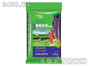 ���ь���ˮ�ܷ�-ʥ���m