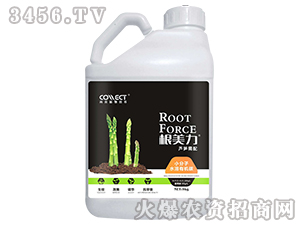 �J�S����С����ˮ���ЙC(j��)̼-������-�в�