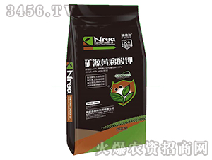 �VԴ�S�����-���_(d��)