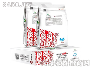 ����ֲ��ˮ�ܷ�-��ʢ����