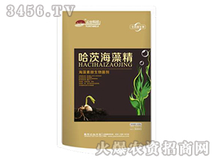 ���ĺ��徫-���_��