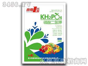 ��������-����1̖(h��o)-����ɭ