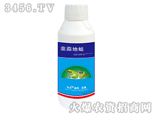 �������-����ɭ