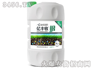 �߻��Ը�ֲ��ˮ�ܷ���-�|�S�ա���-����̩