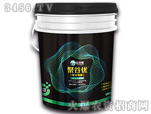 �۹Ȱ���΢�������-�۹ȃ�(y��u)-����̩