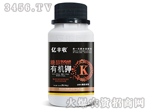 �Ǵ��ЙC(j��)�-�|�S��-����̩