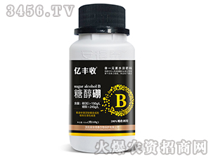 �Ǵ���-�|�S��-����̩