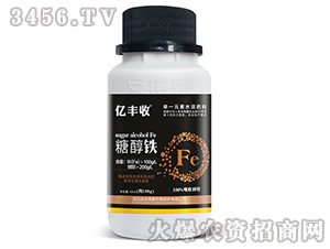 �Ǵ��F-�|�S��-����̩