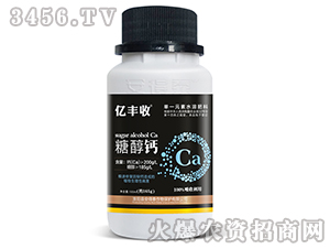 �Ǵ��}-�|�S��-����̩