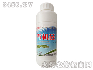 �M(j��n)�ڼ����ЙC(j��)��-���杙(r��n)-�P��