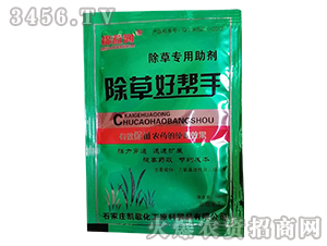 ���݌�������-���ݺÎ���-�P��