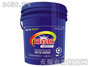 ������-˹����