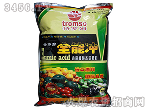 ȫ�ܛ_ˮ�ܷ�-�|ʥ����