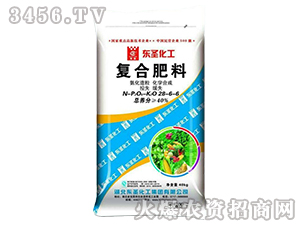 ����������(f��)�Ϸ���28-6-6-�|ʥ����