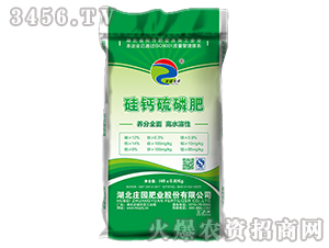 12%�w�����}����-�f�@�ʘI(y��)